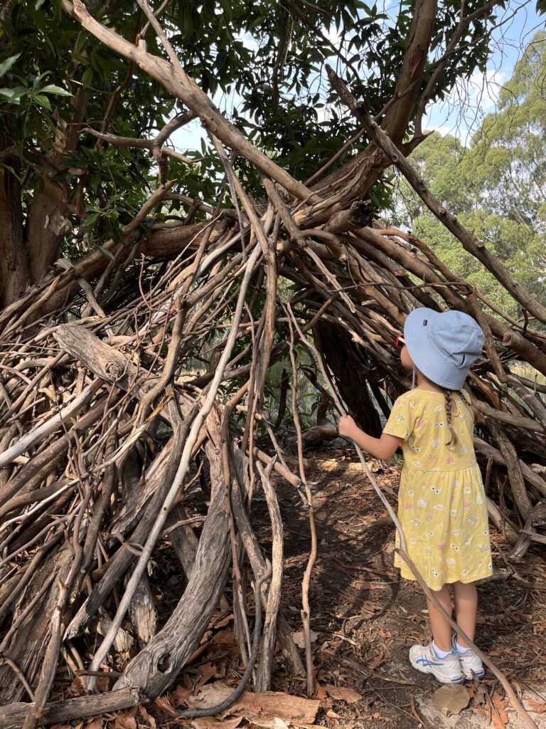 Our Program Wattle Hill Kindergarten